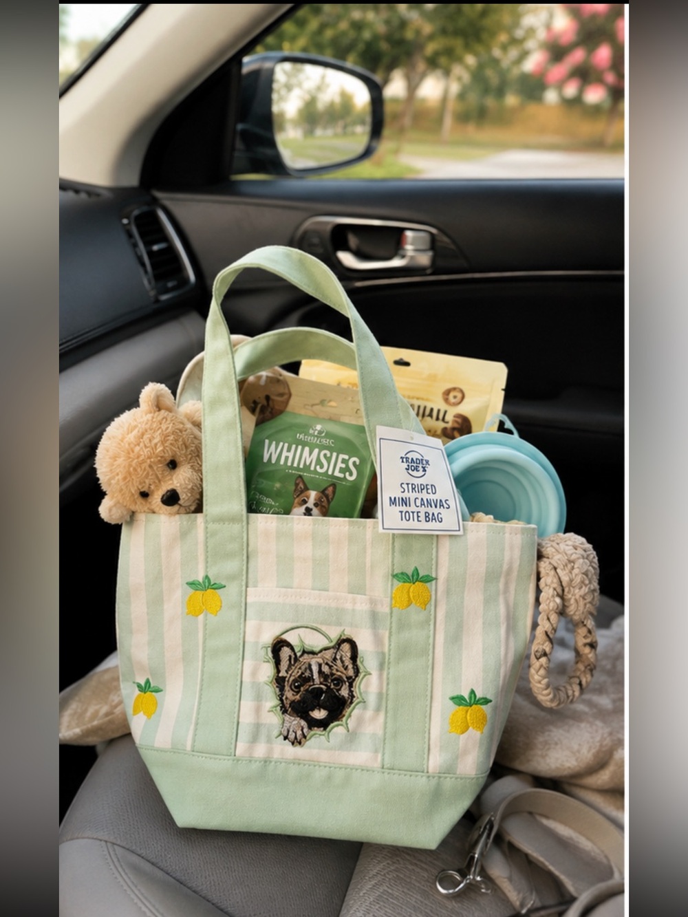 💚 Trader Joe’s mini Tote with With Custom  embroidery